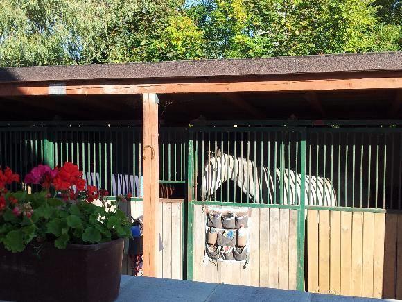 Farm Stay Nh Stables Nyrany Экстерьер фото
