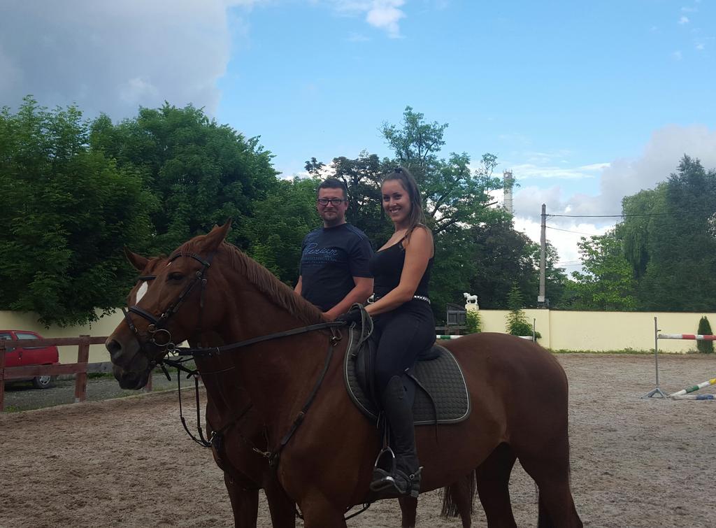 Farm Stay Nh Stables Nyrany Экстерьер фото