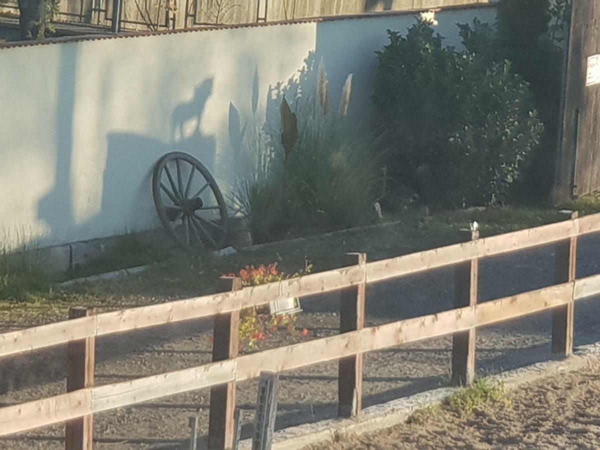 Farm Stay Nh Stables Nyrany Экстерьер фото