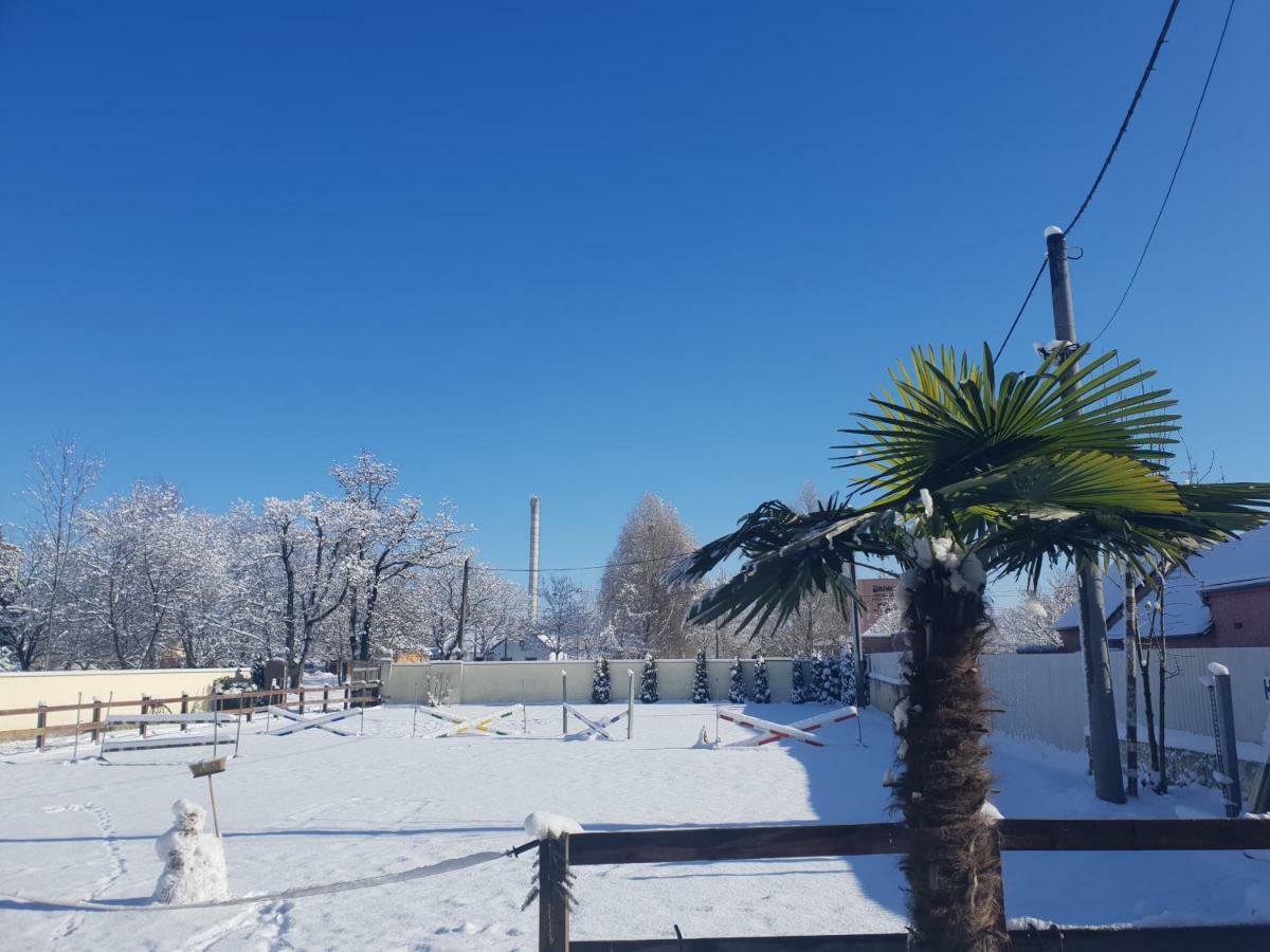 Farm Stay Nh Stables Nyrany Экстерьер фото