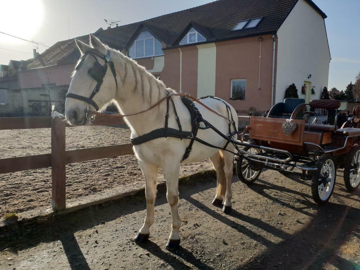 Farm Stay Nh Stables Nyrany Экстерьер фото