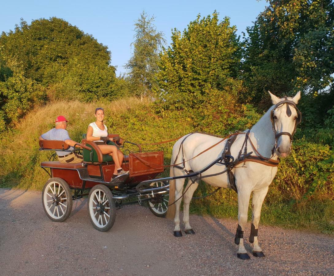 Farm Stay Nh Stables Nyrany Экстерьер фото
